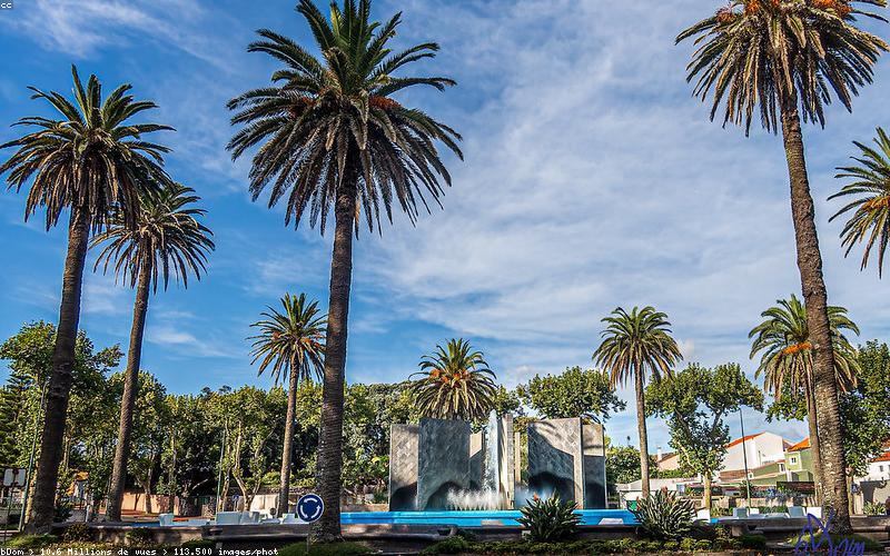 Flugzeug am Flughafen Ponta Delgada